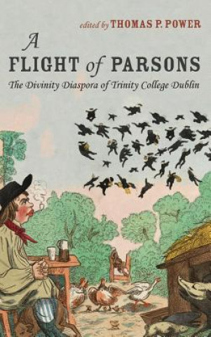 Kniha Flight of Parsons Thomas P. Power