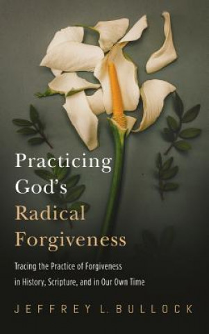 Buch Practicing God's Radical Forgiveness Jeffrey Bullock