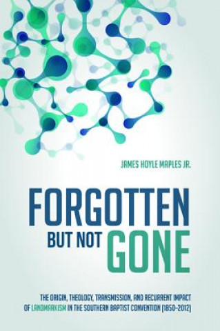 Buch Forgotten But Not Gone James Hoyle Jr Maples