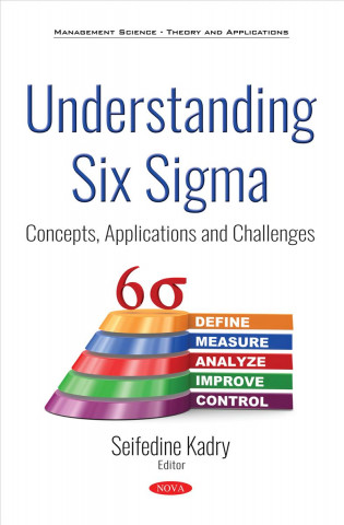 Knjiga Understanding Six Sigma SEIFEDINE KADRY