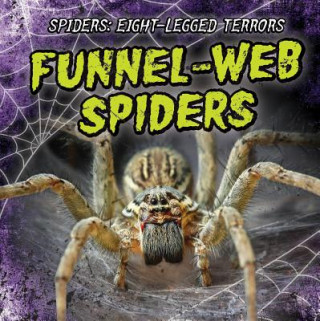 Knjiga Funnel-Web Spiders Amy Hayes