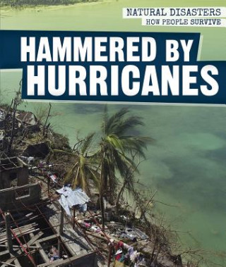 Boek Hammered by Hurricanes Melissa Rae Shofner