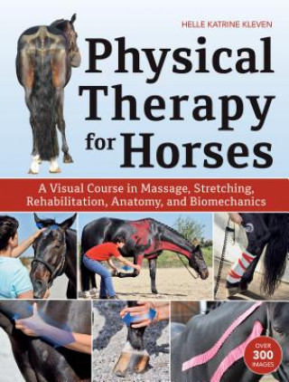 Könyv Physical Therapy for Horses Helle Katrine Kleven