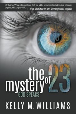 Carte Mystery of 23 Kelly M Williams