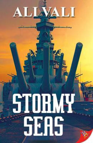 Boek Stormy Seas Ali Vali