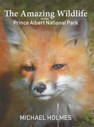 Carte Amazing Wildlife in the Prince Albert National Park MICHAEL HOLMES