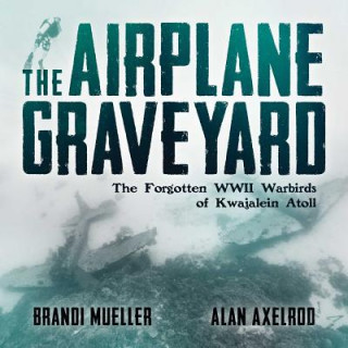 Kniha Airplane Graveyard Brandi Mueller