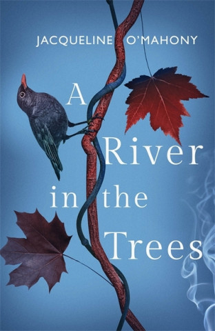 Buch A River in the Trees Jacqueline O'Mahony