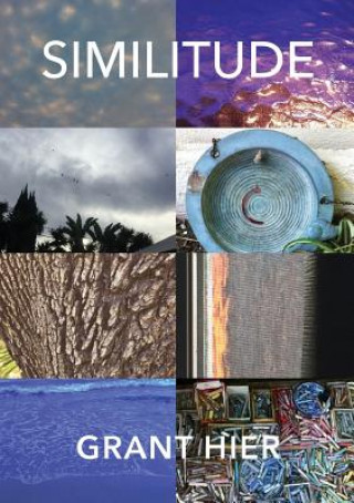 Livro Similitude Grant Hier