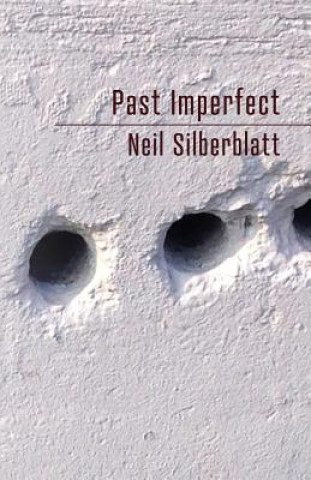 Boek Past Imperfect Neil Silberblatt