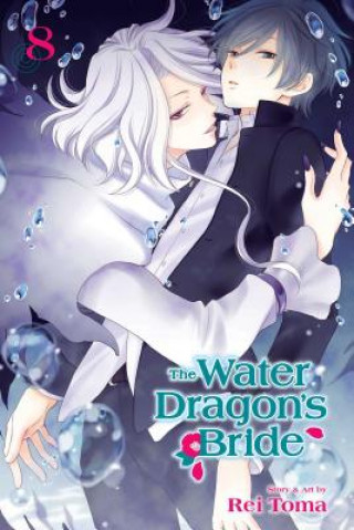 Könyv Water Dragon's Bride, Vol. 8 Rei Toma