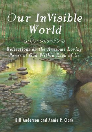 Buch Our Invisible World Bill Anderson