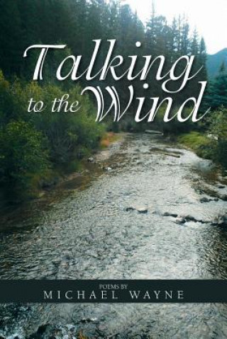 Buch Talking to the Wind Michael Wayne