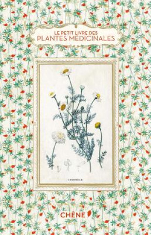 Könyv Little Book of Medicinal Plants Elisabeth Trotignon