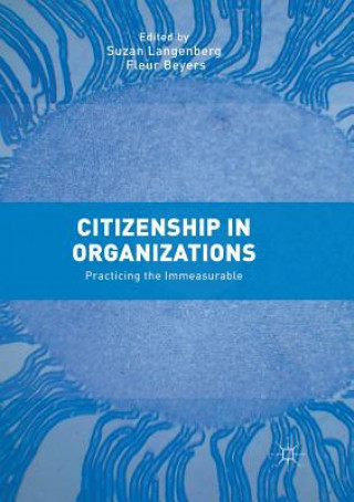 Kniha Citizenship in Organizations Fleur Beyers
