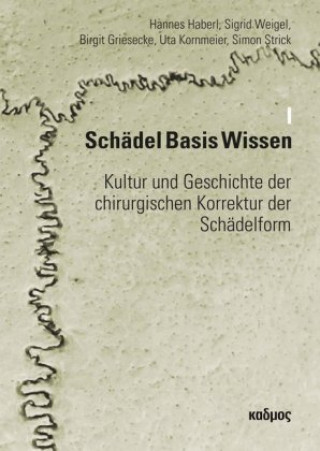 Kniha Schädel Basis Wissen. Bd.1 Hannes Haberl