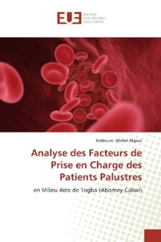 Kniha Analyse des Facteurs de Prise en Charge des Patients Palustres Mahoussi Michel Akpovi