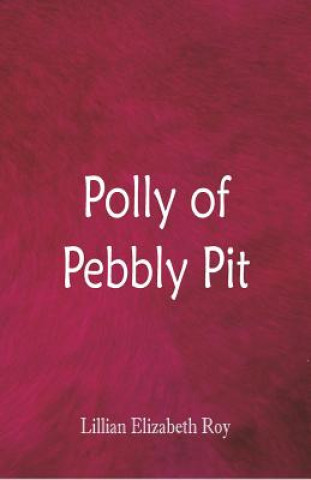 Buch Polly of Pebbly Pit Lillian Elizabeth Roy