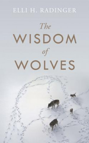 Kniha Wisdom of Wolves Elli H Radinger