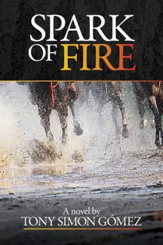 Livre Spark of Fire Mr Tony Simon Gomez