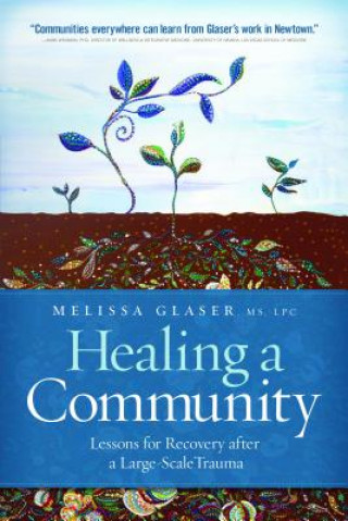 Kniha Healing a Community Melissa Glaser