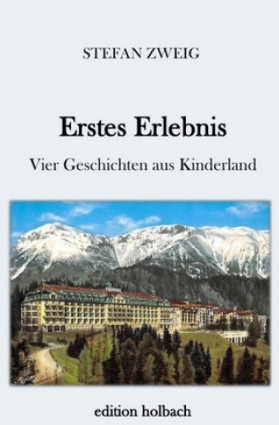 Libro Erstes Erlebnis Stefan Zweig