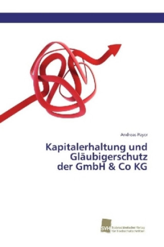 Kniha Kapitalerhaltung und Gläubigerschutz der GmbH & Co KG Andreas Payer