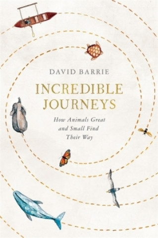 Kniha Incredible Journeys David Barrie