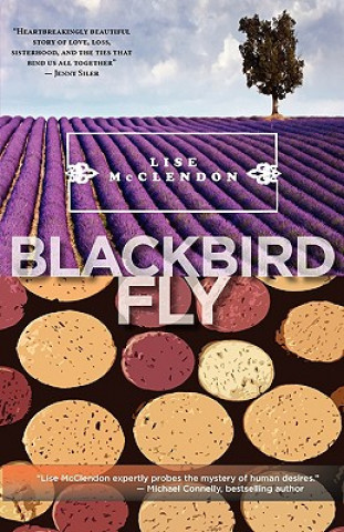 Boek Blackbird Fly Lise McClendon