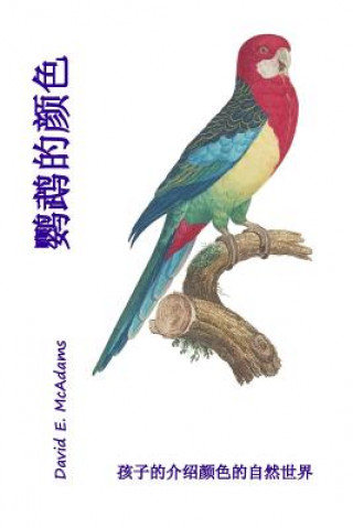 Kniha Yingwu de Yanse: Haizi de Jieshao Yanse de Ziran Shijie David E McAdams
