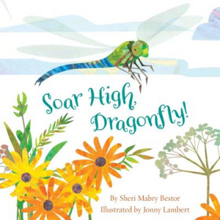 Knjiga Soar High, Dragonfly Sheri M Bestor