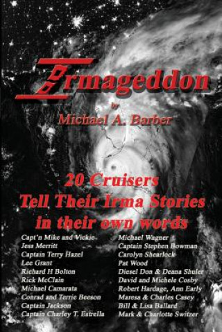 Buch Irmageddon Jess Merrit
