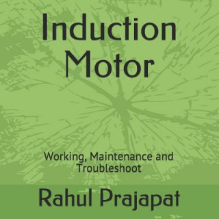 Könyv Induction Motor: Working, Maintenance and Troubleshoot Rahul Prajapat