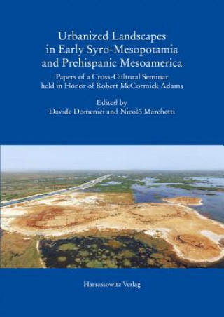 Buch Urbanized Landscapes in Early Syro-Mesopotamia and Prehispanic Mesoamerica Davide Domenici