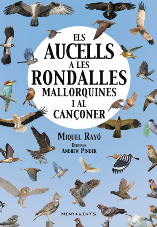 Kniha ELS AUCELLS A RONDALLES MALLORQUINES I AL CANçONER MIQUEL RAYO I FERRER