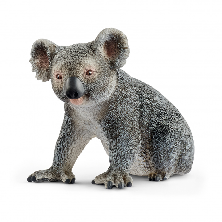 Game/Toy Miś koala 