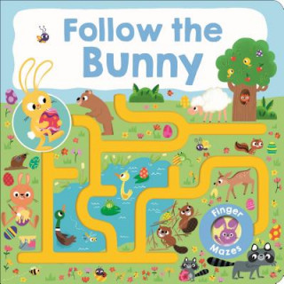 Kniha Maze Book: Follow the Bunny Roger Priddy