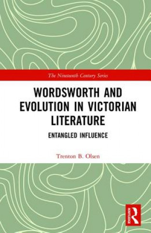Kniha Wordsworth and Evolution in Victorian Literature OLSEN