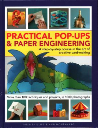 Книга Practical Pop-Ups and Paper Engineering Trish Phillips