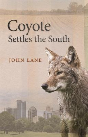 Kniha Coyote Settles the South John Lane