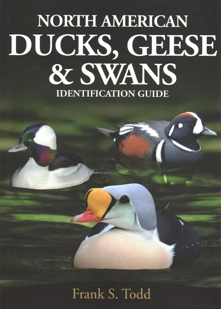 Book North American Ducks, Geese and Swans Frank S Todd
