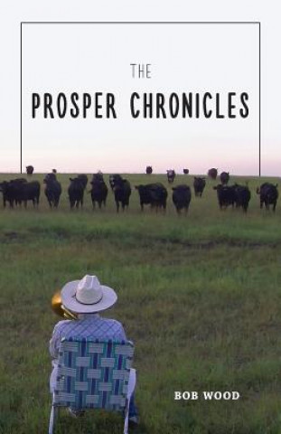 Buch The Prosper Chronicles Robert E Wood