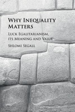 Buch Why Inequality Matters Shlomi Segall