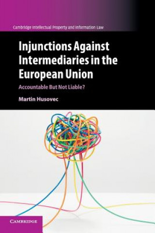Carte Injunctions against Intermediaries in the European Union Martin Husovec