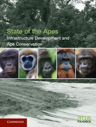Carte Infrastructure Development and Ape Conservation: Volume 3 Arcus Foundation