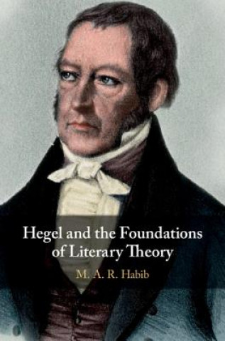 Kniha Hegel and the Foundations of Literary Theory Habib