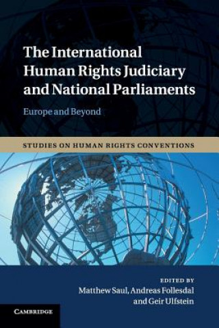 Carte International Human Rights Judiciary and National Parliaments Matthew Saul