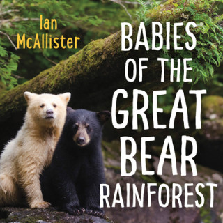 Carte Babies of the Great Bear Rainforest Ian McAllister