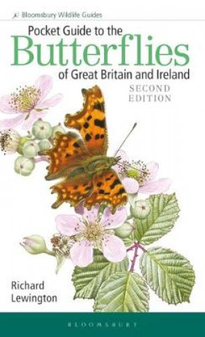 Kniha Pocket Guide to the Butterflies of Great Britain and Ireland Richard Lewington