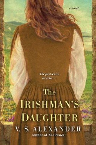 Buch Irishman's Daughter V. S. Alexander